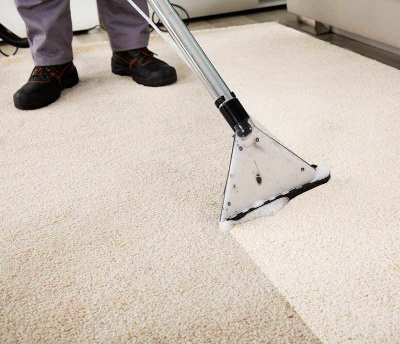 wet carpet drying